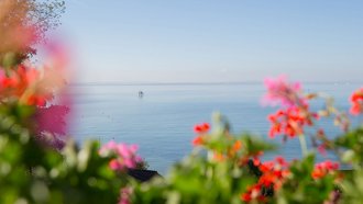 Blick auf den Bodensee