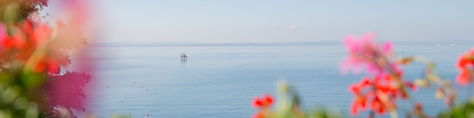 Blick auf den Bodensee